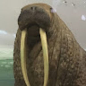 Meet your Posher, Ethan